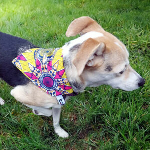 Bandana pour chien