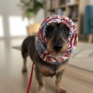 Snood pour chien